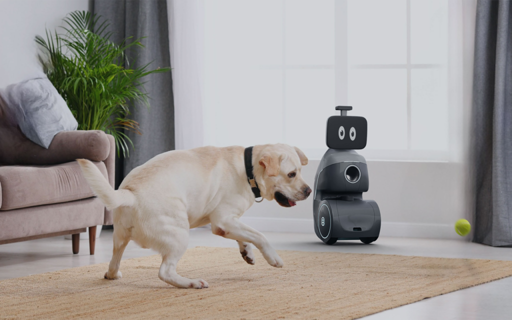 ORo Interactive Pet Gadget