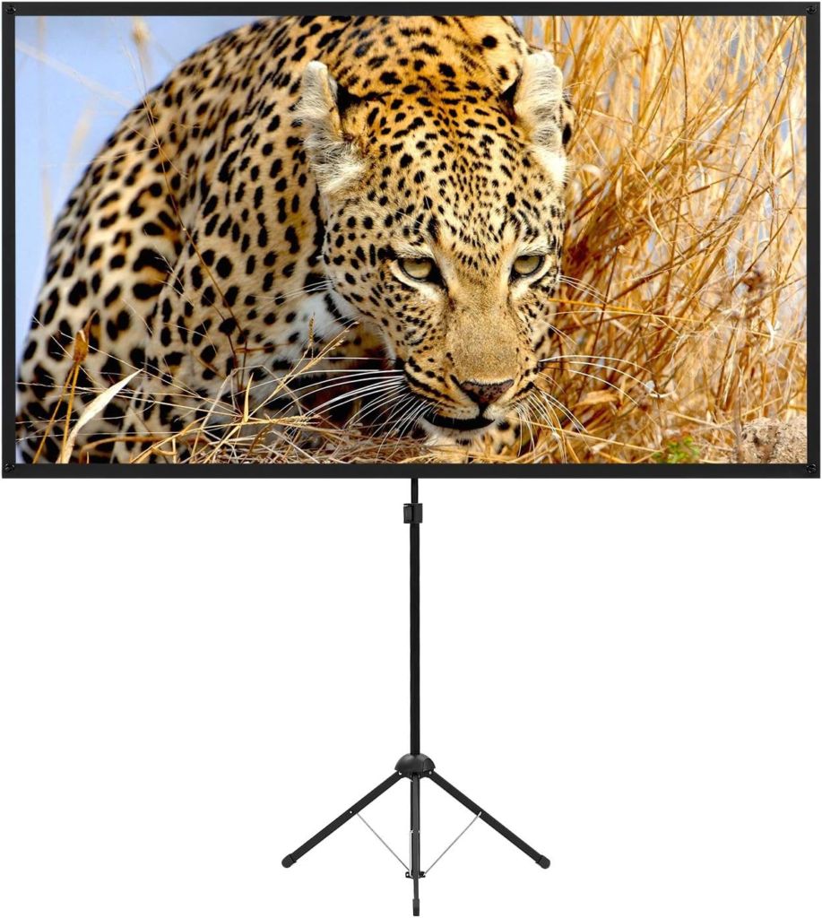 Portable Projector Screen